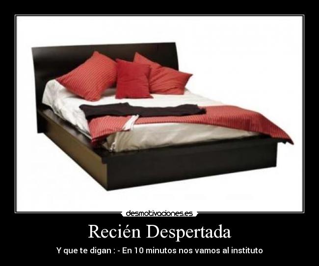 carteles recien despertada desmotivaciones