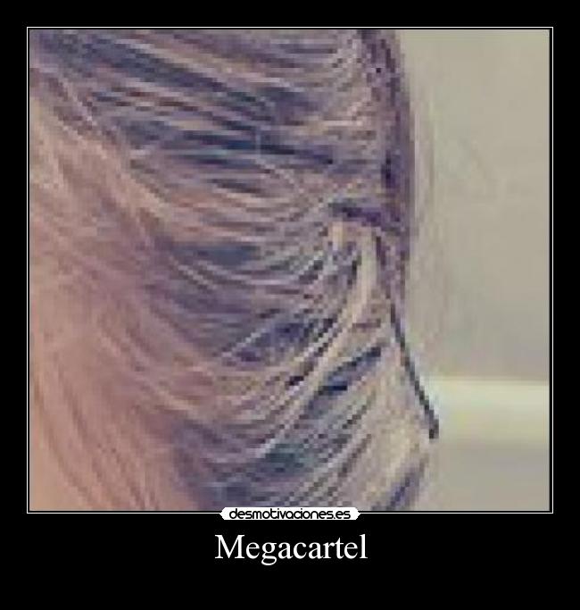 Megacartel -