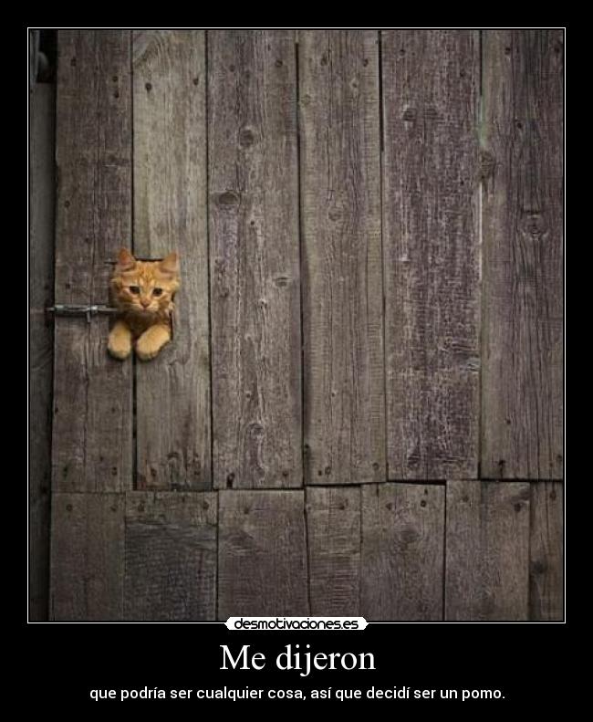 Me dijeron - que podría ser cualquier cosa, así que decidí ser un pomo.