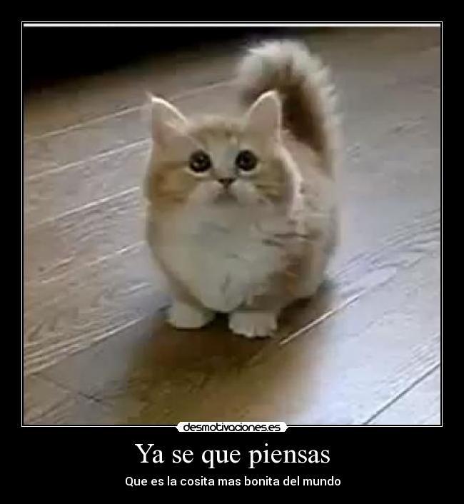 carteles que rico desmotivaciones