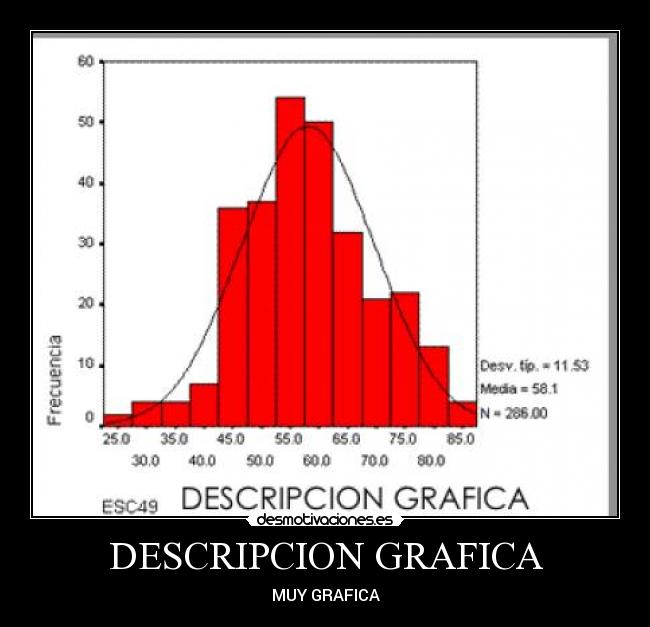 DESCRIPCION GRAFICA -