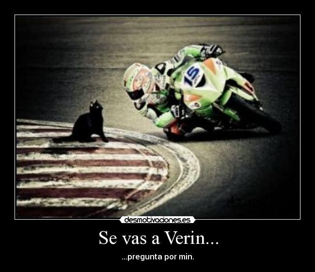 Se vas a Verin... - ...pregunta por min.