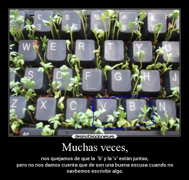 Muchas veces, - nos quejamos de que la  b y la v están juntas,
pero no nos damos cuenta que de son una buena escusa cuando no
savbemos escrivbir algo.