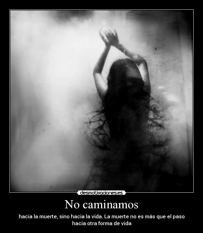 No caminamos - 