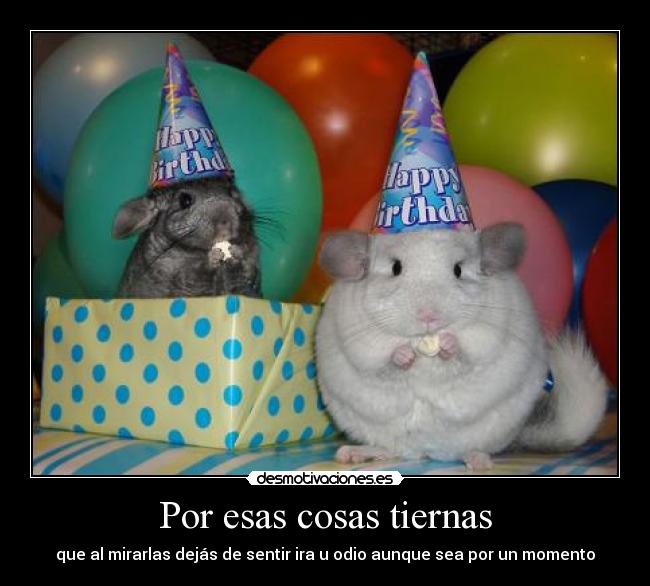 Por esas cosas tiernas - que al mirarlas dejás de sentir ira u odio aunque sea por un momento