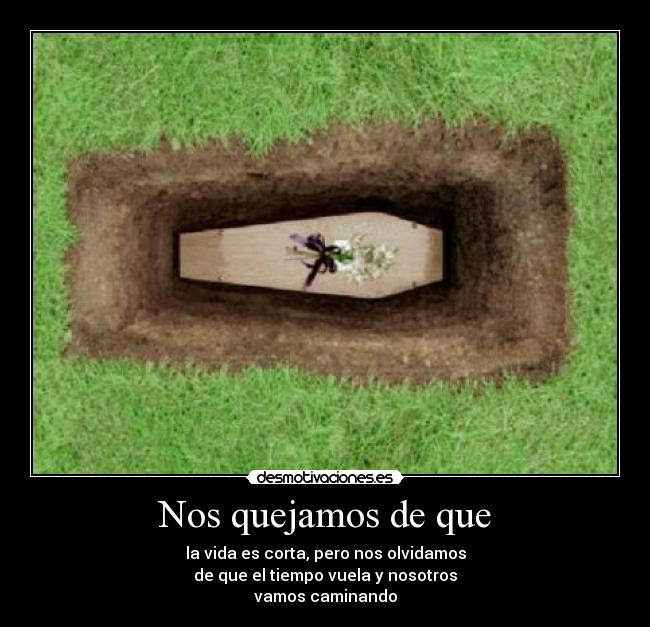 carteles vida corta pero nuestra manera desmotivaciones