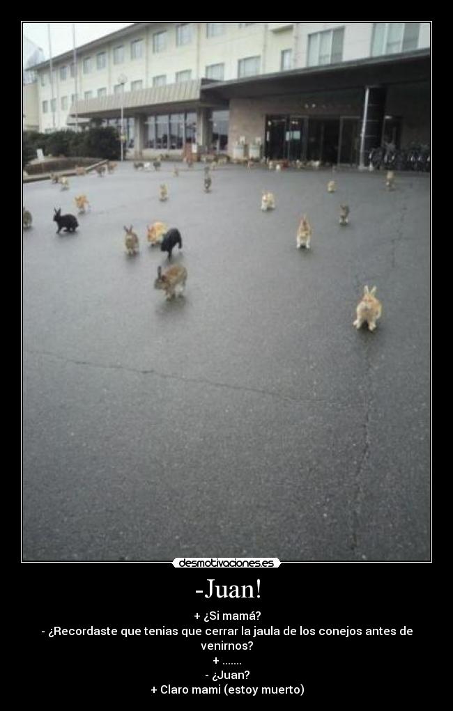 -Juan! - + ¿Si mamá?
- ¿Recordaste que tenias que cerrar la jaula de los conejos antes de venirnos?
+ .......
- ¿Juan?
+ Claro mami (estoy muerto)
