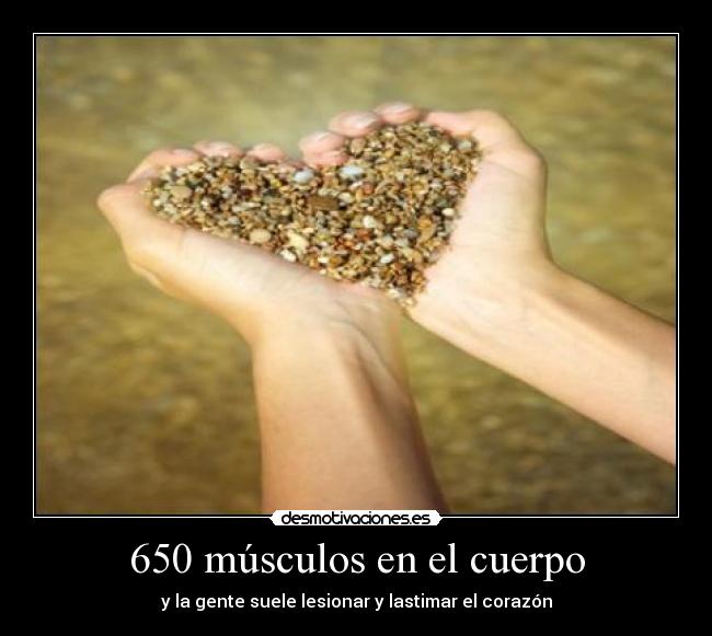650 músculos en el cuerpo -