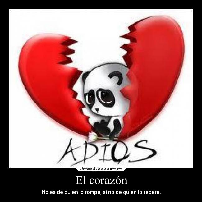 El corazón - 