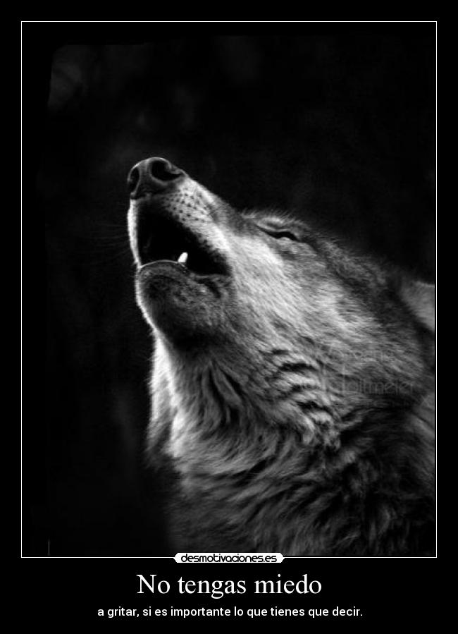 No tengas miedo -