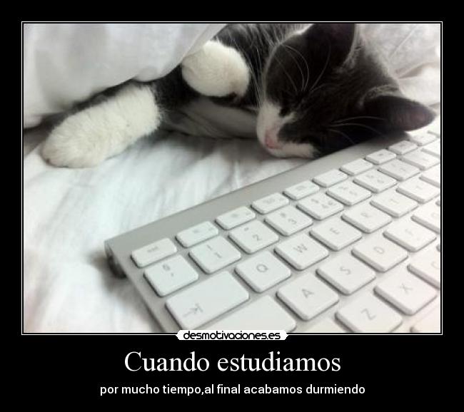 Cuando estudiamos - 