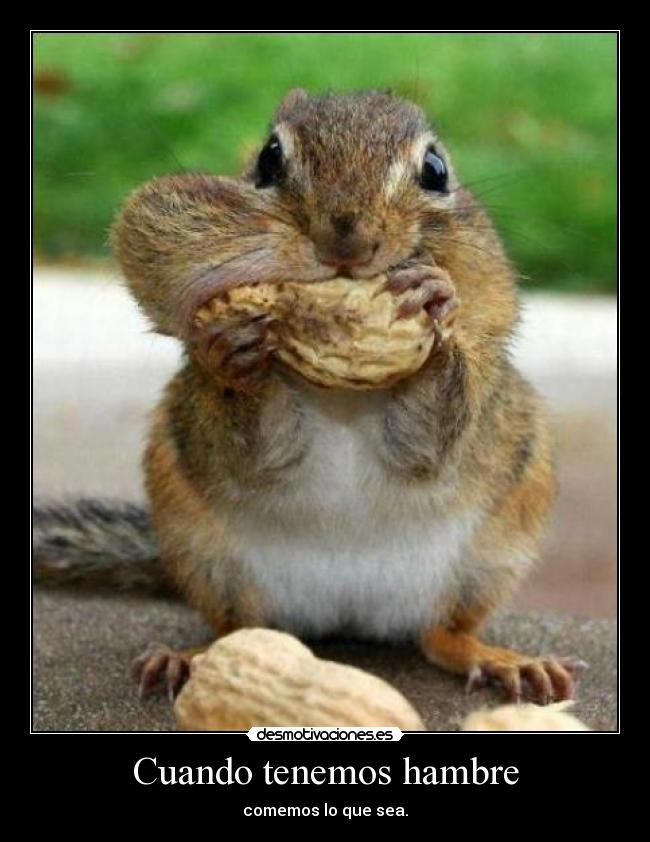 Cuando tenemos hambre -