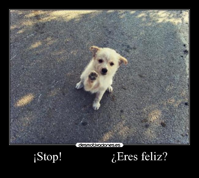 ¡Stop!                ¿Eres feliz? - 