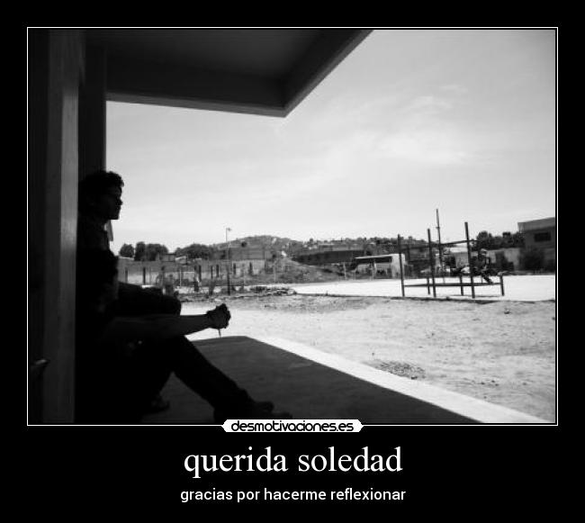 querida soledad - 