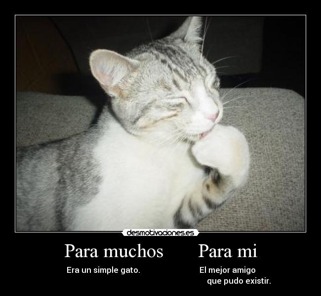 Para muchos Para mi -
