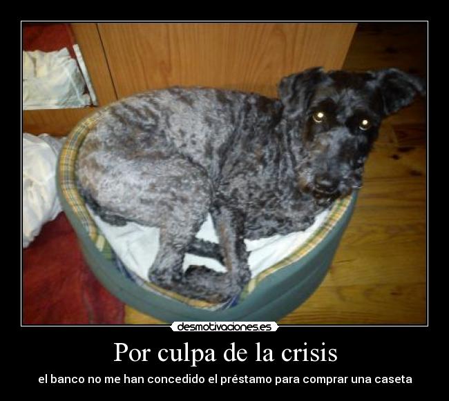 Por culpa de la crisis -