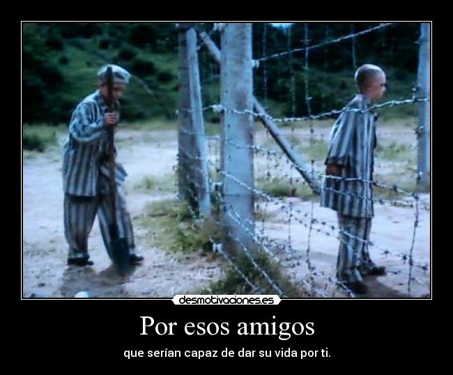 Por esos amigos - 