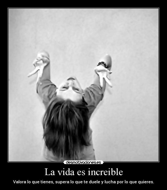 La vida es increible -