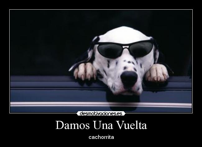 Damos Una Vuelta - cachorrita
