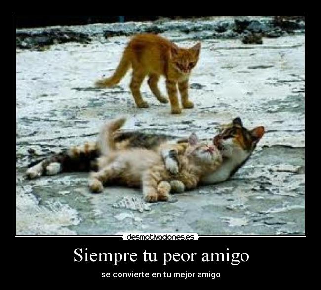 Siempre tu peor amigo - 