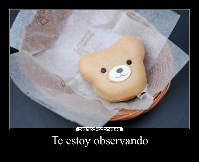 carteles sdlkzxfcapsnoldkxcacsdlg marruecos vegetariano lentechugas desmotivaciones