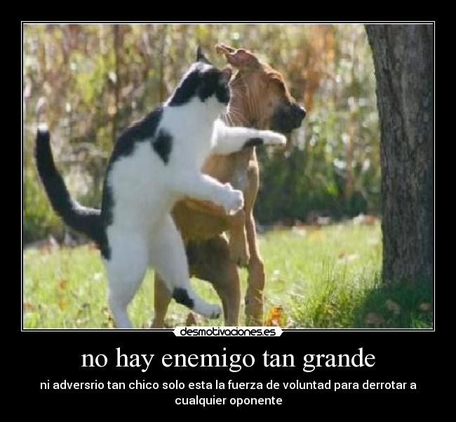 no hay enemigo tan grande -