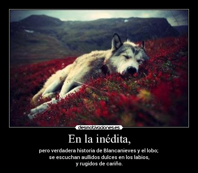 En la inédita, - pero verdadera historia de Blancanieves y el lobo;
se escuchan aullidos dulces en los labios,
y rugidos de cariño.