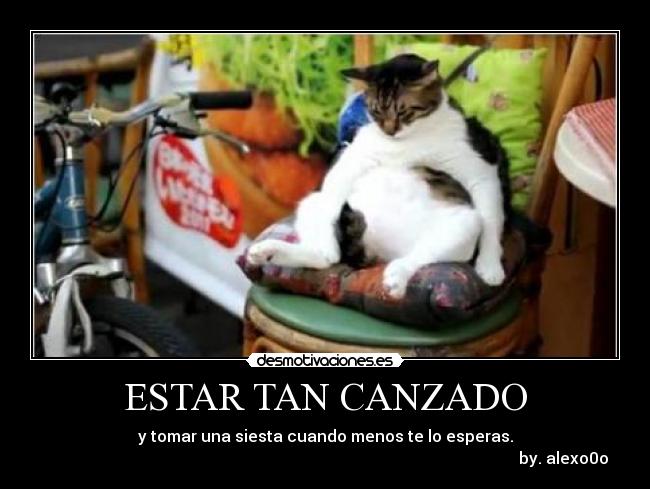 carteles alexo0o desmotivaciones