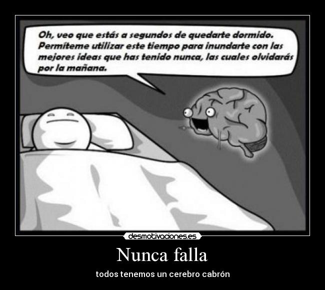 Nunca falla - todos tenemos un cerebro cabrón