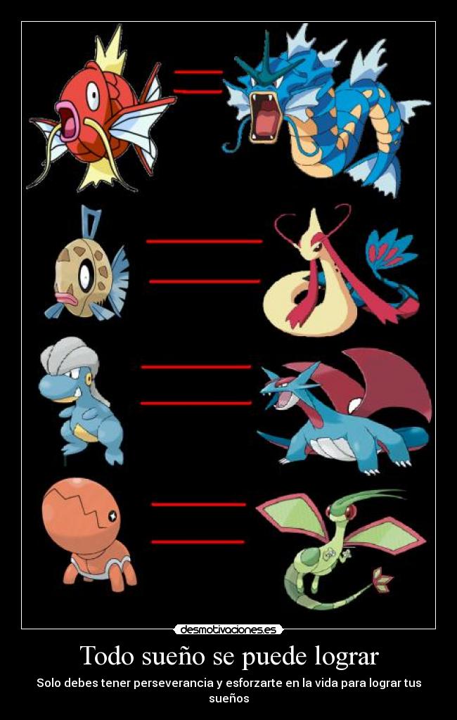 carteles anime pokemon magikarp gyarados feebas milotic bagon salamance trapinch flygon suenos desmotivaciones