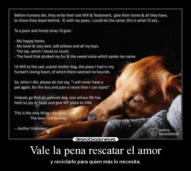 Vale la pena rescatar el amor - 