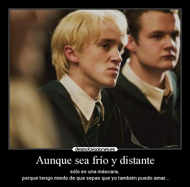 carteles harry potter desmotivaciones