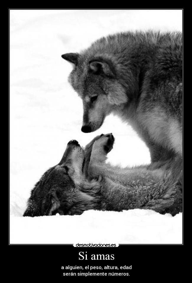 carteles amor ciego amor vendado ese dilema desmotivaciones