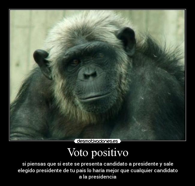 Voto positivo -