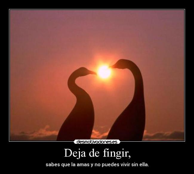 Deja de fingir, - sabes que la amas y no puedes vivir sin ella.