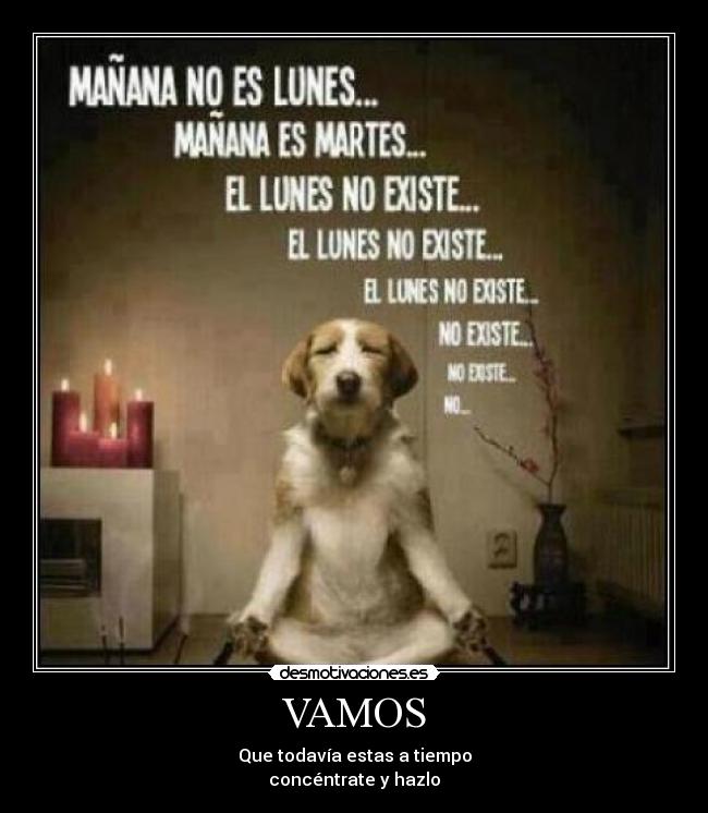 VAMOS - Que todavía estas a tiempo
concéntrate y hazlo