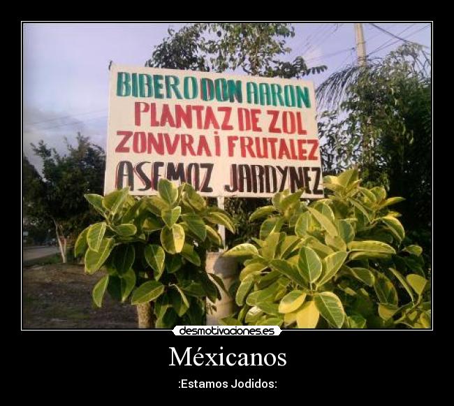 carteles mexico desmotivaciones