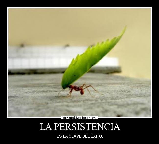 LA PERSISTENCIA -