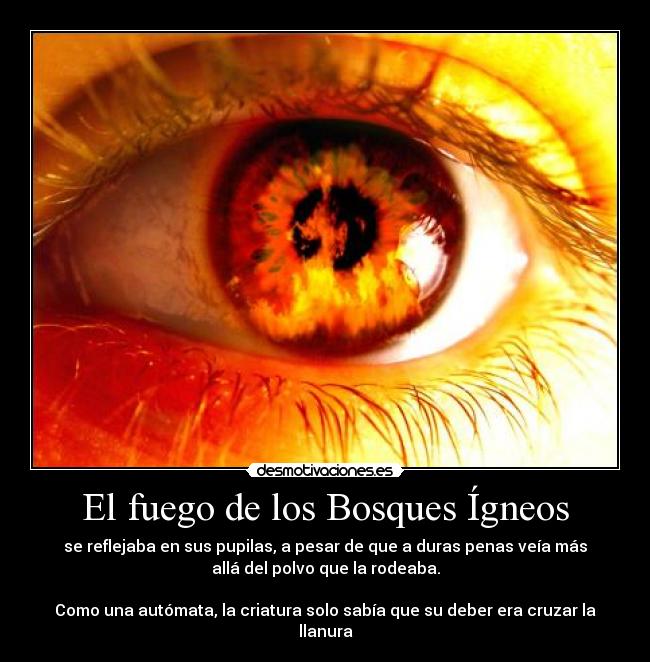 El fuego de los Bosques Ígneos - 