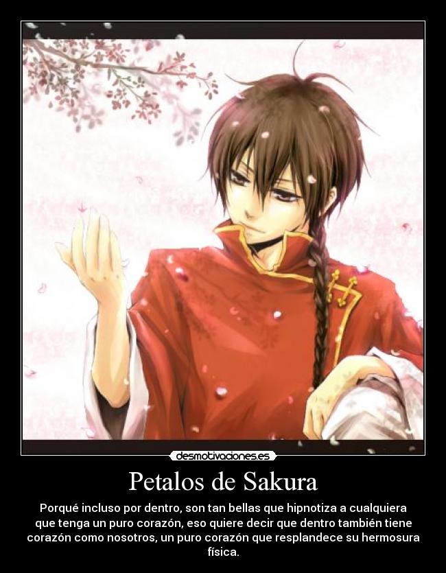 Petalos de Sakura - Porqué incluso por dentro, son tan bellas que hipnotiza a cualquiera
que tenga un puro corazón, eso quiere decir que dentro también tiene
corazón como nosotros, un puro corazón que resplandece su hermosura
física.