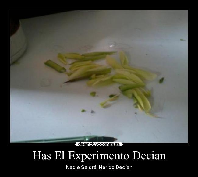 carteles werita desmotivaciones