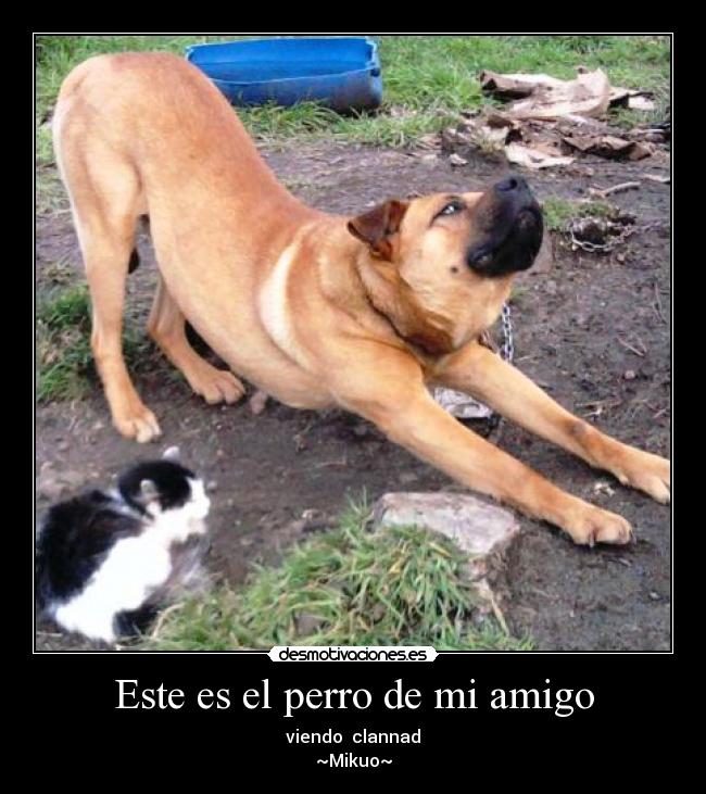 Este es el perro de mi amigo - viendo clannad
~Mikuo~