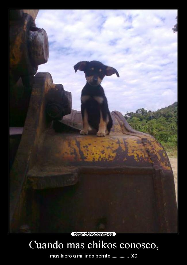 Cuando mas chikos conosco, - mas kiero a mi lindo perrito................  XD