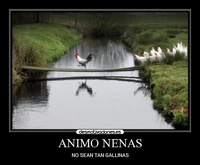 ANIMO NENAS - NO SEAN TAN GALLINAS