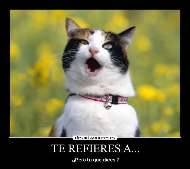 carteles hola desmotivaciones