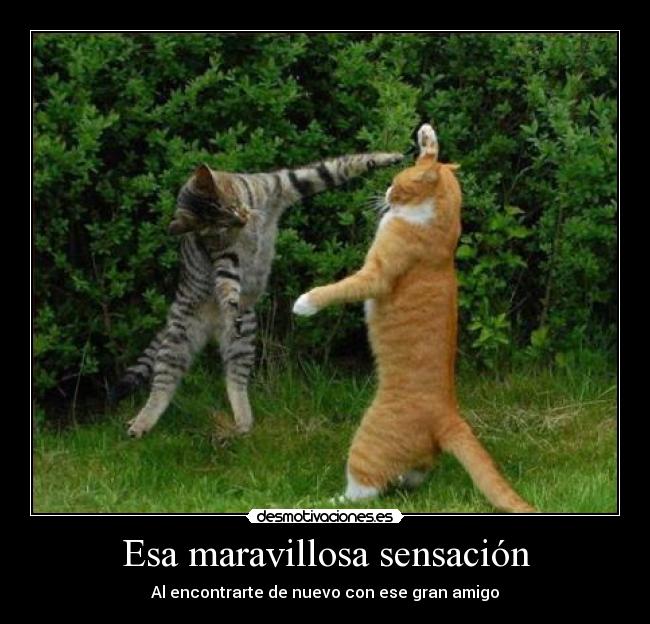Carteles Desmotivaciones Amigos thumb