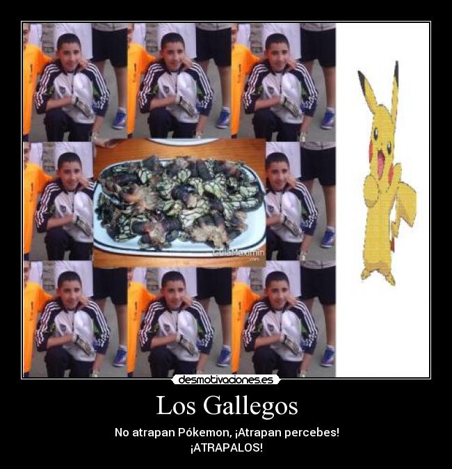 Los Gallegos - No atrapan Pókemon, ¡Atrapan percebes!
¡ATRAPALOS!