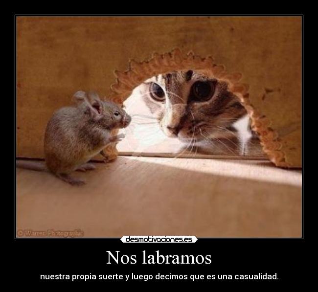 Nos labramos - nuestra propia suerte y luego decimos que es una casualidad.