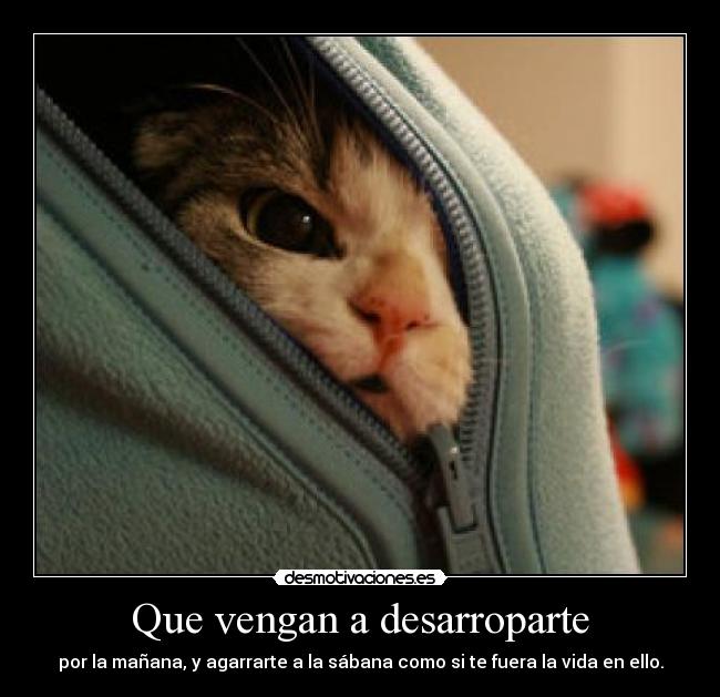 carteles quites manta desmotivaciones