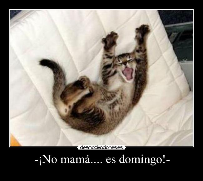 -¡No mamá.... es domingo!- -